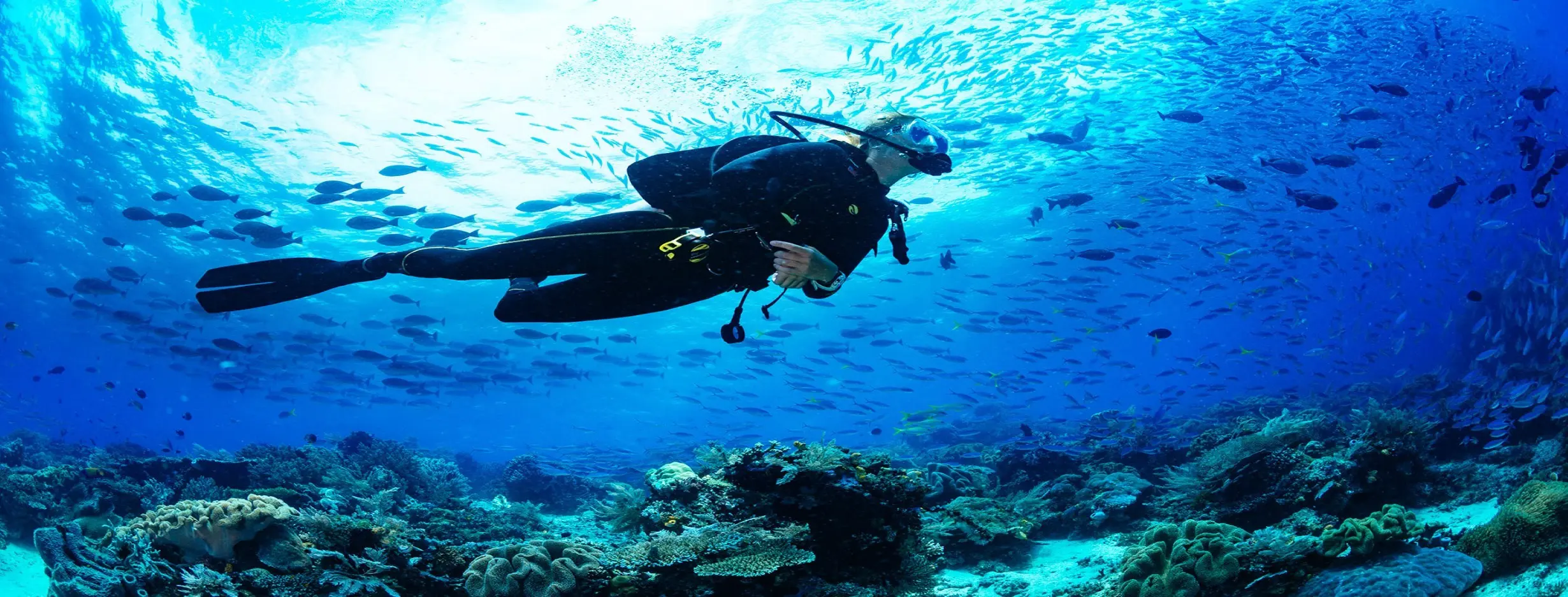 Image for Diving Adventure